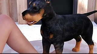 xnxx 4